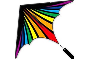 Doinfly Delta Rainbow Kite - Colorful & Easy to Fly-Outdoor Kite for Kids & Adults - Ideal for Family Fun for Beach Trip ＆ Park Activities(Flaming Delta Kite)