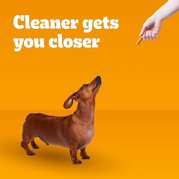 PEDIGREE DENTASTIX DENTAL CHEWS FOR DOGS, SMALL AND TOY BREED DOG TREATS, ORIGINAL FLAVOR, 14 OZ. BAG (58 TREATS TOTAL)