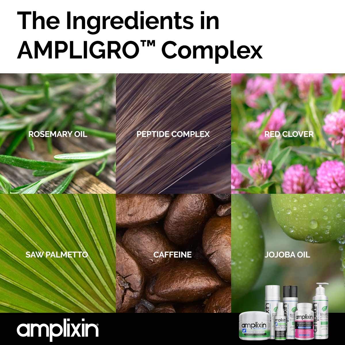 Amplixin Stimulating Shampoo - Healthy Hair Growth & Hair Loss Prevention Treatment For Men & Women With Thinning Hair - Sulfate-Free Dht Blocking Formula, 8Oz: Beauty
