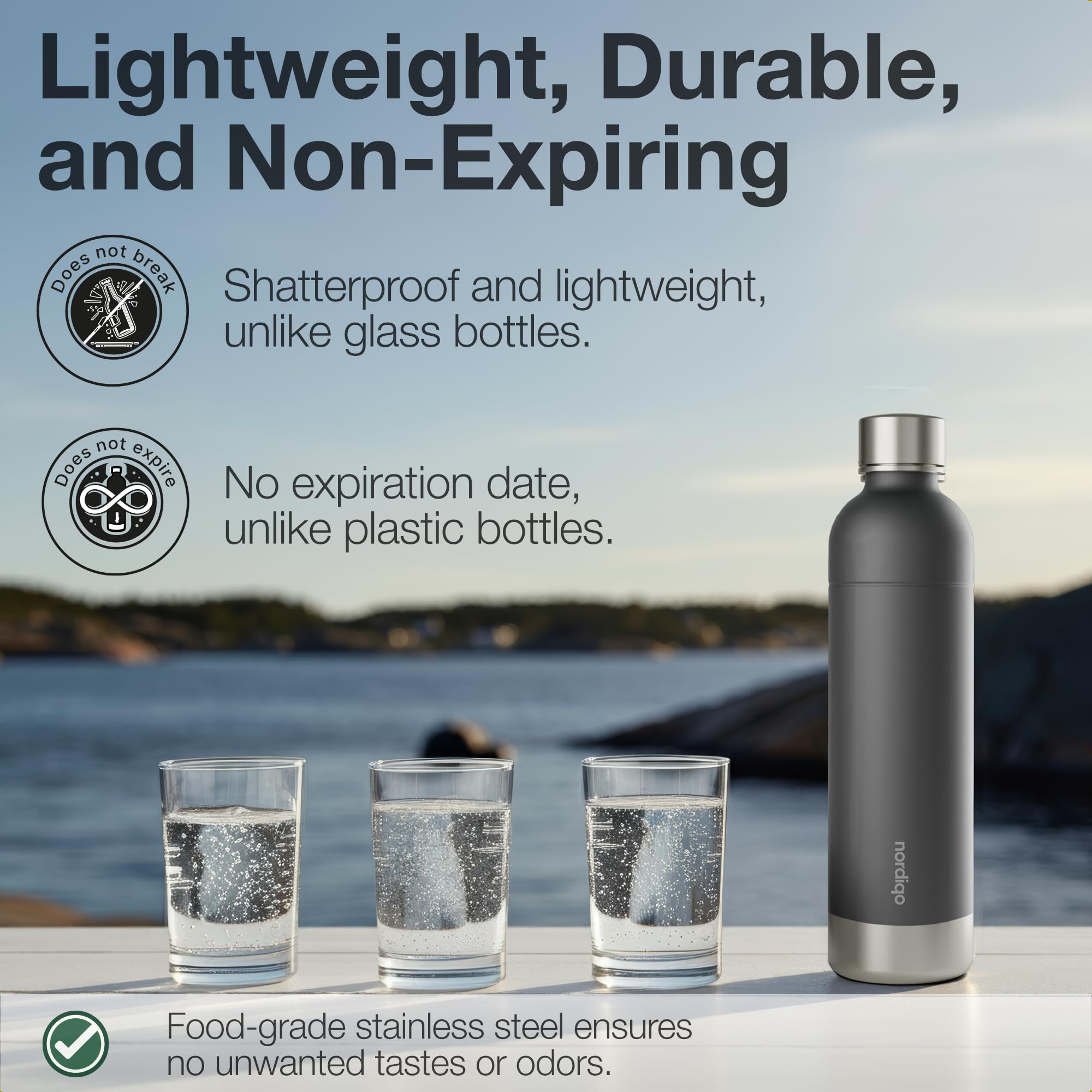 Premium 33 oz Stainless Steel Bottle - Compatible with Sodastream Art, Duo, Enso, Terra (not Aqua Fizz), Aarke Carbonator 3 | No expiration date | Dishwasher safe | Bpa-free