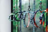 pidan Cat Harness and Leash Set XL Escape Proof Adjustable Multicolor view 9