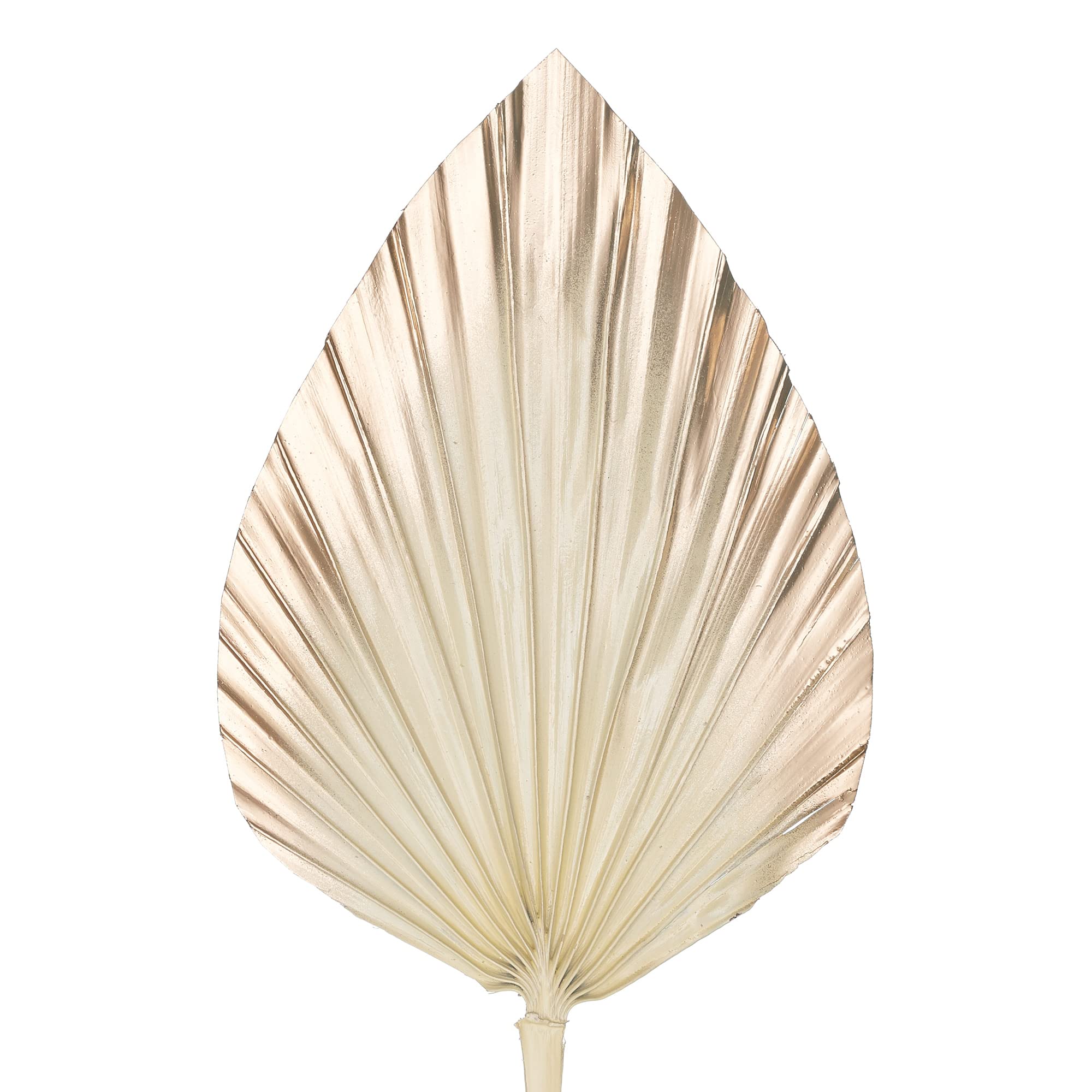 The Baked Studio - Dried Palm Leaf Leaves Palm Spear Cake Topper for Cake Decoration (Cream & Gold Ombre)