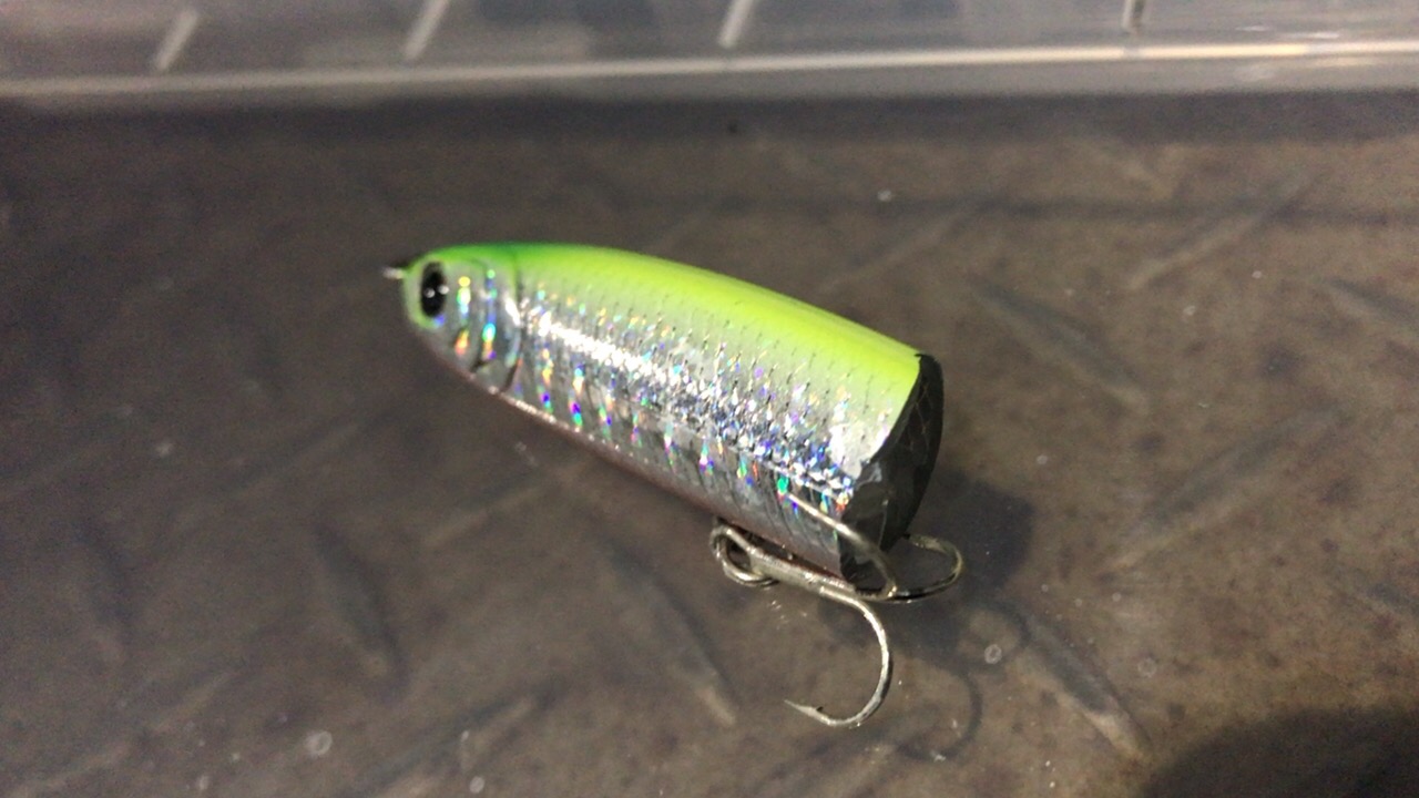 Amazon ラッキークラフト Lucky Craft ミノー ワンダー80 Esg ギラチャート ルアー ラッキークラフト Lucky Craft ルアー On Amazon Co Jp Shopping Assistant Deputy Service Japamart