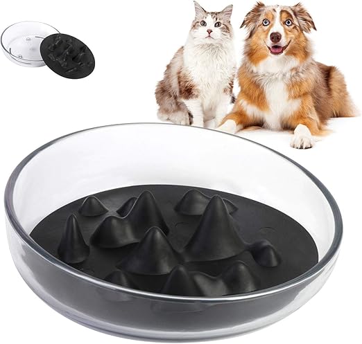 amazon cat slow feeder