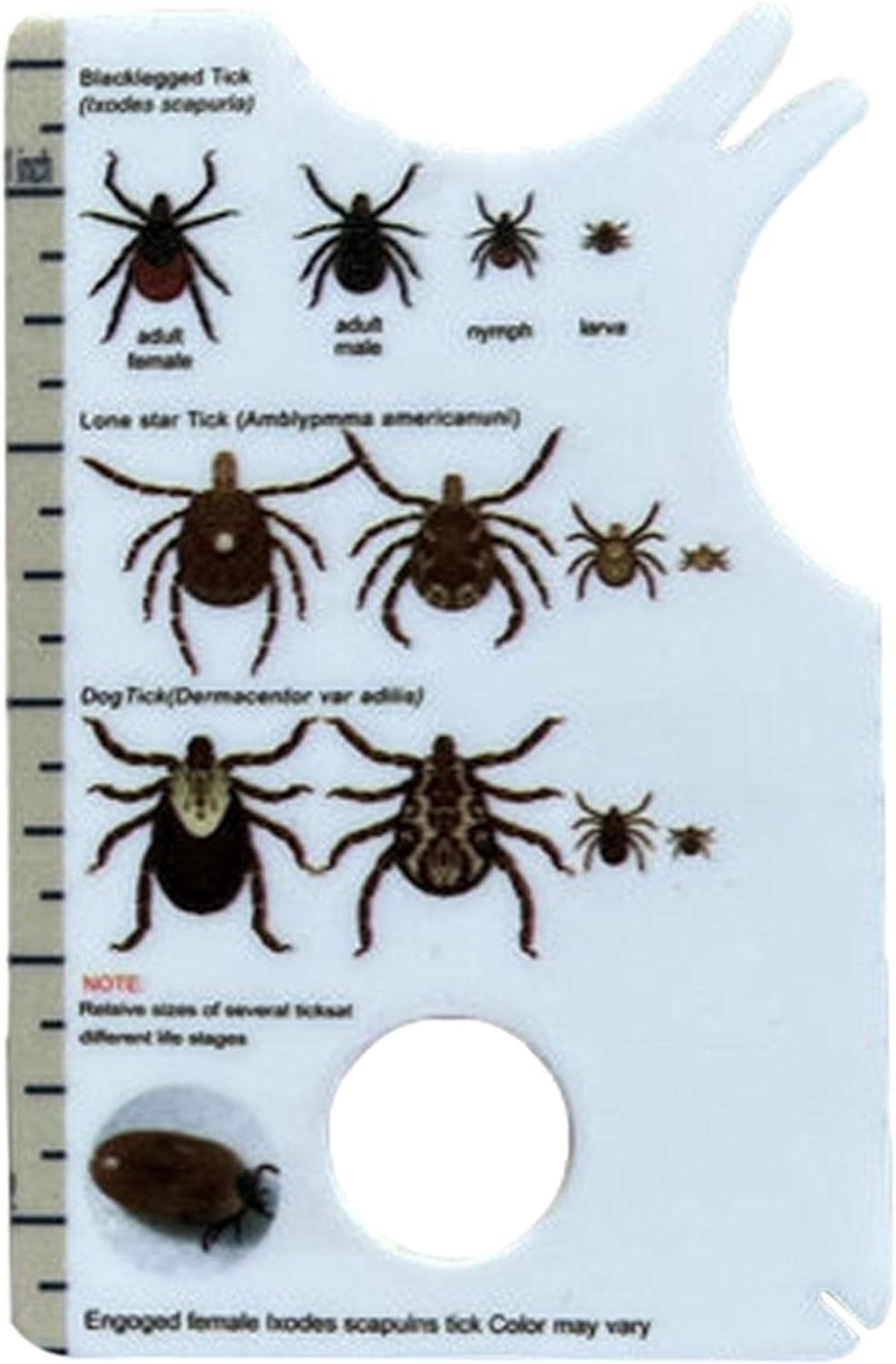 1 x human tick card, allows easy removal of ticks, tick remover for dogs and cats in handy pocket size, 8.5 x 5.4 x 0.1 cm, pest protection, tick removal in dogs