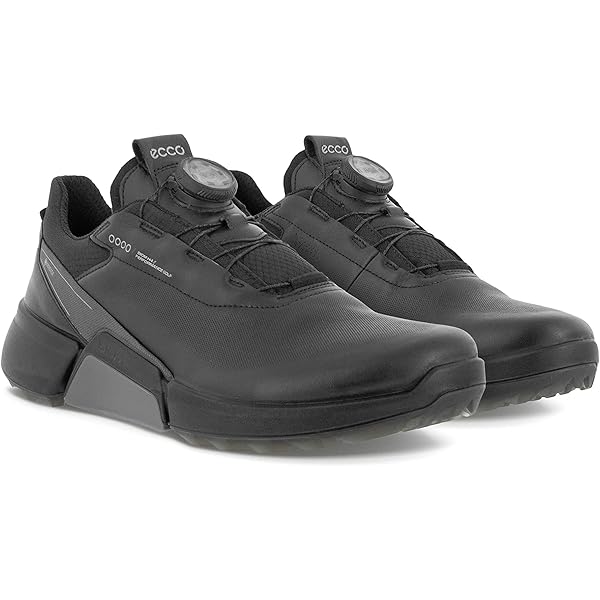 Amazon.com | ECCO Biom C4 BOA Gore-TEX Waterproof, White, 5-5.5 | Golf