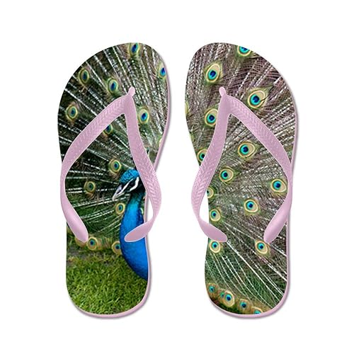 peacocks flip flops