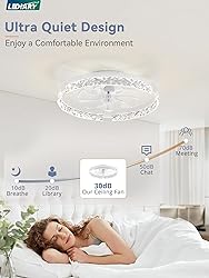 LEDIARY 20 Inch Low Profile Ceiling Fans with