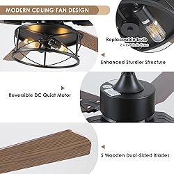 Farmhouse Ceiling Fan with Light and