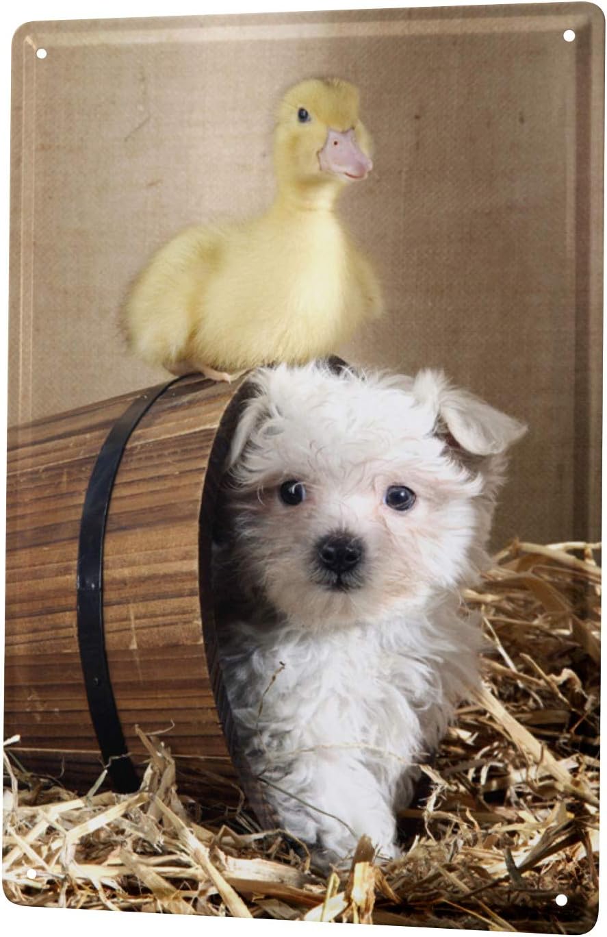 LEotiE SINCE 2004 Tin Sign Metal Plate Decorative Sign Home Decor Plaques 30 x 40 cm Fun Puppy Duck Chicks