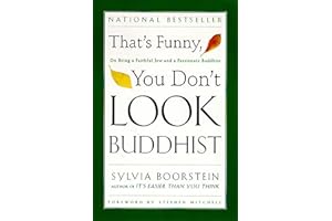 That's Funny, You Don't Look Buddhist: On Being A Faithful Jew and a Passionate (Philosophies, and Movements; 11)