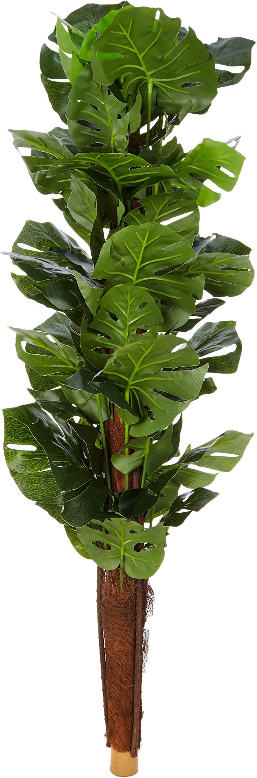 Fourwalls Artificial Miniature PVC Silk Floor Plant with Large Leaves and Without Pot (120 cm Tall, Green)
