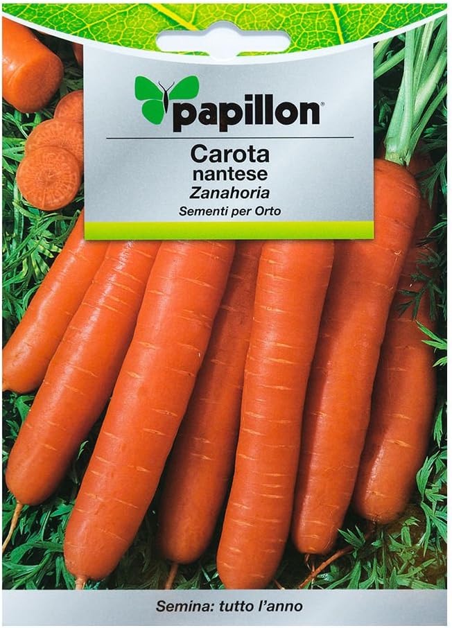 Semillas Zanahoria Nantes Temprana (7 Gramos): Amazon.es: Jardín