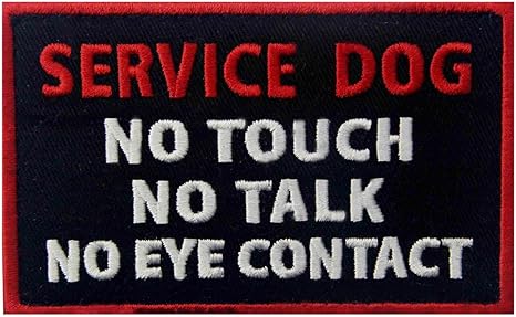 nba chicago bulls barbie