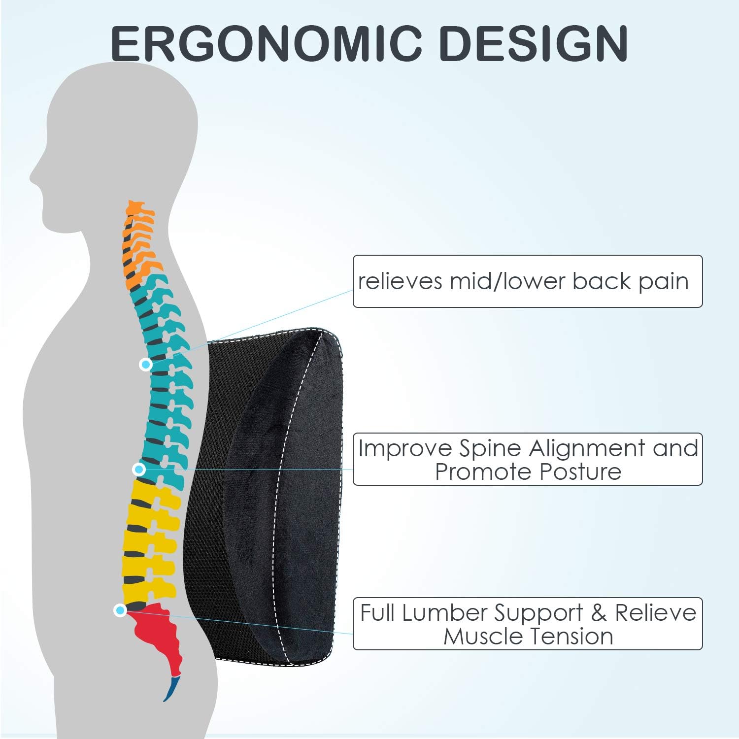 Memory Foam Lumbar Support Back Pillow Coccyx Orthopedic Cushion for Office Chair,Car,3D Mesh Lumbar Support Pillow for Reliving Lower Back Pain Pillow with Breathable Washable Cover: Kitchen & Dining