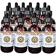 Huang Qin Tincture, Huang Qin, Scutellaria (Scutellaria Baicalensis) Root Liquid Extract, Herbal Supplement 15x4 oz
