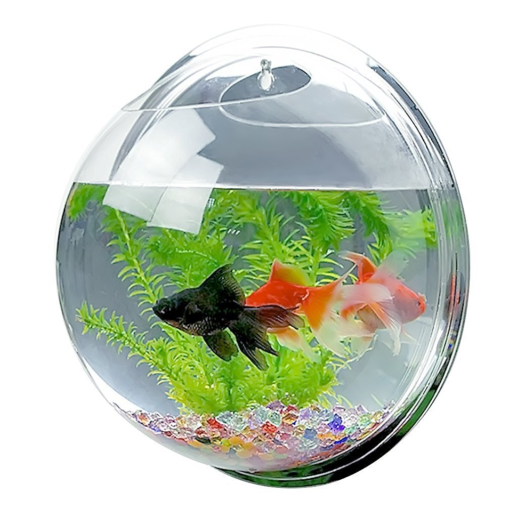 Candora™ Creative Acrylic Hanging Wall Mount Fish Tank Bowl Vase Aquarium Plant Pot Bowl Bubble Aquarium Decor