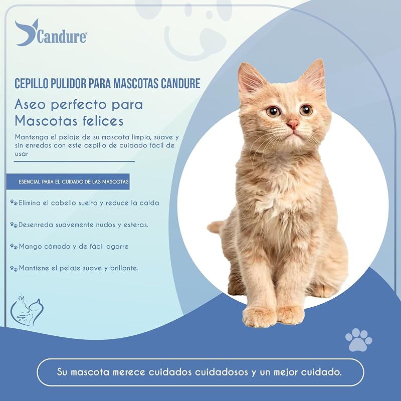 Peine Perro y Cepillo Gatos Quita Corto Pelo Muerto de Mascotas Acero Inoxidable Cepillos de Aseo y Desenreda los Nudos para Pequeña, Medianas y Grandes Mascota (Azul Cielo Cepillo)