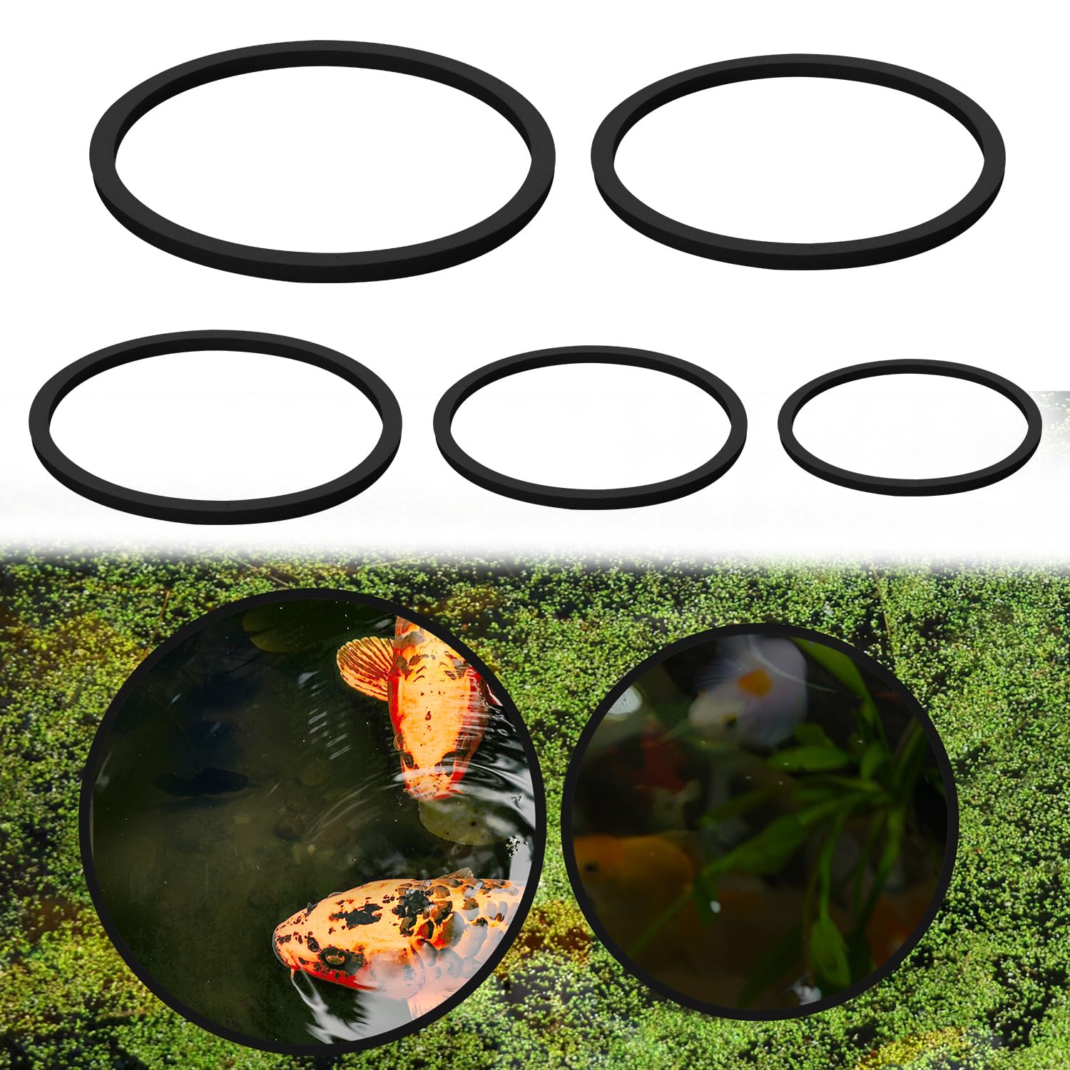 XIHIRCD 5pcs Aquarium Floating Plant Rings, 5 Sizes Foam Fish Feeding Rings Fish Tank Plant Ring Floating Plant Corral Feeding Ring for Keeping Floating Plants in Place (black)