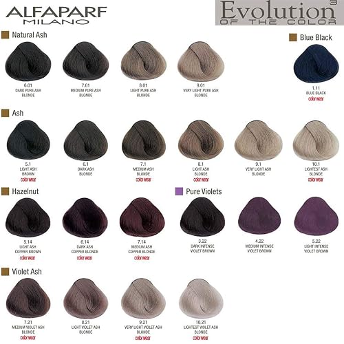 Alfaparf Evolution Color Chart Alfaparf Evolution Of The Color