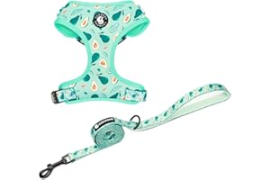 COOWONE Dog Cat Harness and Leash Set, Puppia Soft Mesh Padded and Adjustable Puppy Vest Cute Dog Clothes Escape Proof Easy Walk Pet Accessories