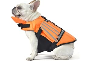 Petglad Dog Life Jacket, Wings Dog Life Vest with Chin Float Rescue Handle for Small Medium Large Dogs, Adjustable High Visibility Flotation Pet Safety Swim Vest for Swimming Boating (Orange, S)
