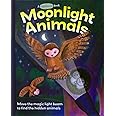 Moonlight Animals (Lightbeam Books)