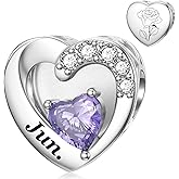 SEVENWELL Birthstone Charms with Birth Month Flower Engraved Fit Charms Bracelet 925 Sterling Silver Beads Charms Happy Birthday for Women