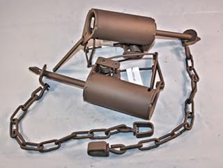 Top #10 Best Raccoon Traps in August 2021