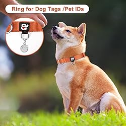 azuza 3 Pack Fall Dog Collars Comfortable and