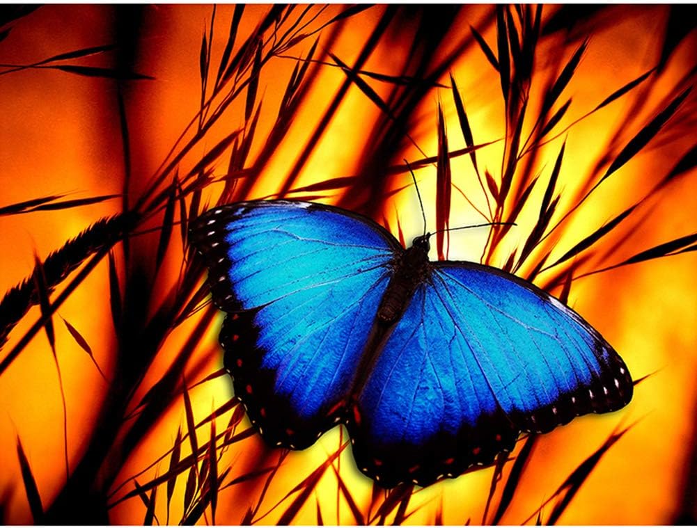 5D DIY Diamond Painting by Number Kits for Adults. Full Drill Crystal Rhinestone Embroidery Cross Stitch Arts Craft for Home Living Room Wall Decor 11.8X15.7 inches Wild Butterfly Nature