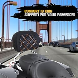 Dakchor Motorcycle Detachable Sissy Bar Backrest