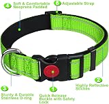 ATETEO Reflective Padded Dog Collar Medium 13-19.7 in Fluorescent Green view 2
