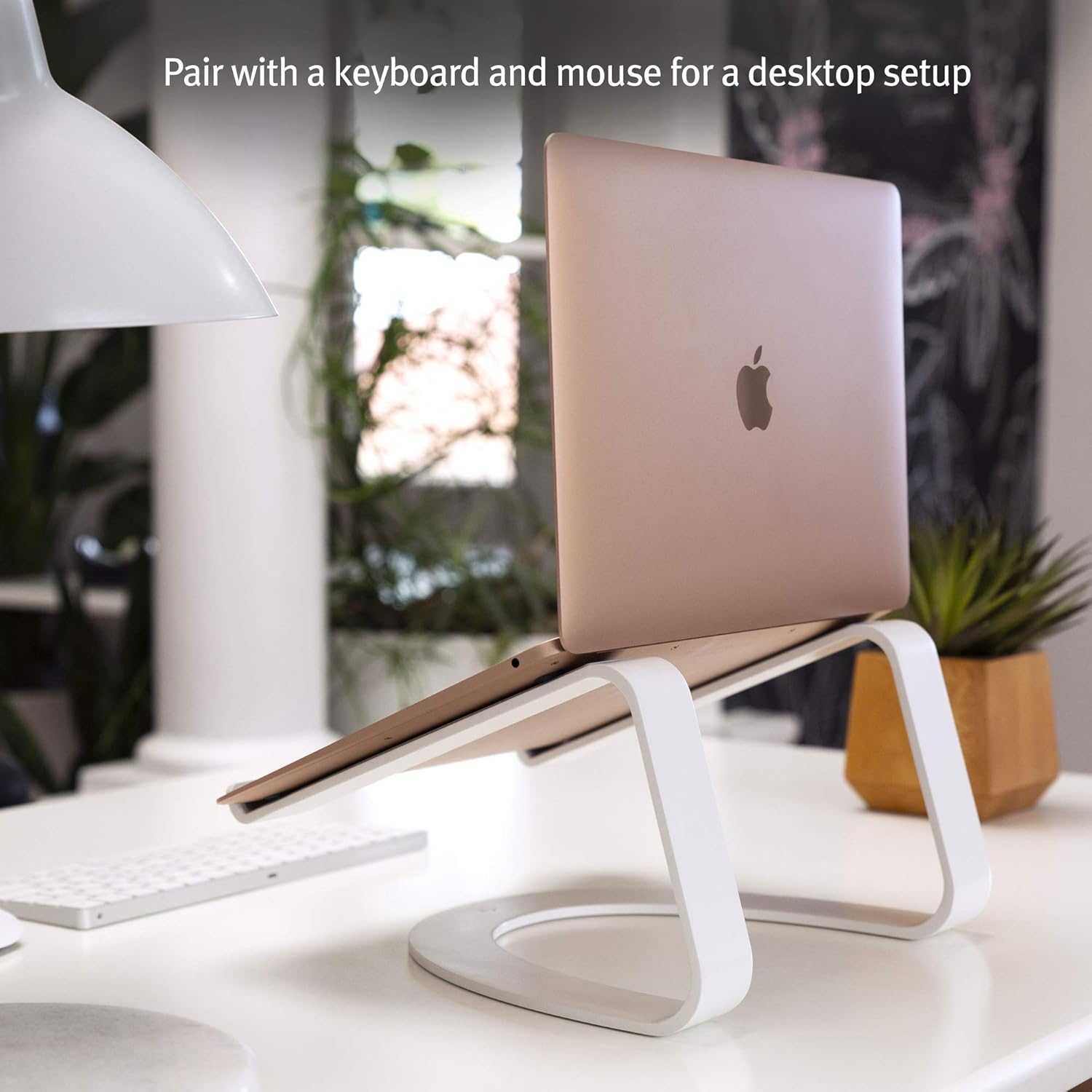 Twelve South Curve for MacBooks and Laptops | Ergonomic desktop cooling stand for home or office, white (special edition): Computers & Accessories