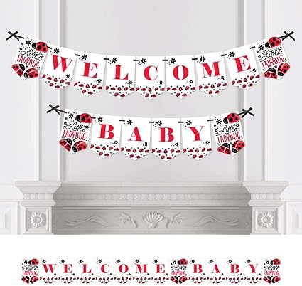 Amazon Com Modern Ladybug Baby Shower Bunting Banner Ladybug