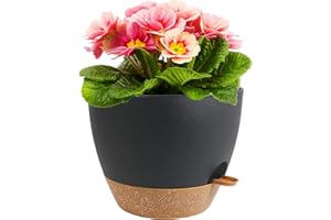 Meowell 12 inch Large Self Watering Pots, Plant Pots with Mesh Drainage Holes for Indoor Outdoor Plants, Plastic Planters with Deep Reservoir for Garden House Flower Plants, Black with Brown
