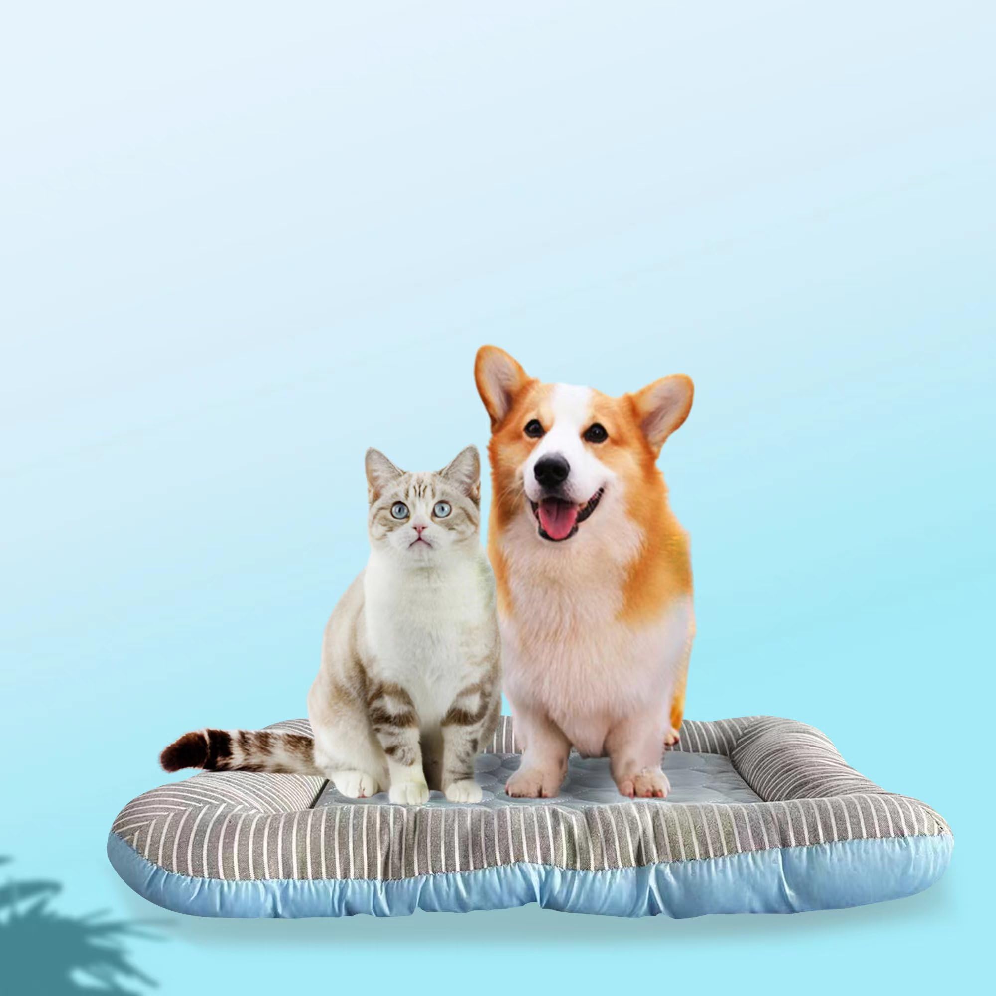 Photo 1 of RPGT Summer Pet Self Cooling Mat No Electricity Required Kennel Bed Pad 18"x 22" Sleeping Mat Keeps Dogs and Cats Cool Ideal for Home and Travel
