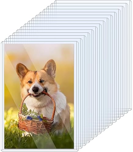 Amazon.com: 20Pack 4 x 6 Inches Acrylic Post Card Waterproof Photo Holders  Rigid Plastic Cards Sleeve Protectors Clear Acrylic Sleeve for Cards  Baseball Photos Postcard Clear Double Sided Frames Display(20 Pcs) :