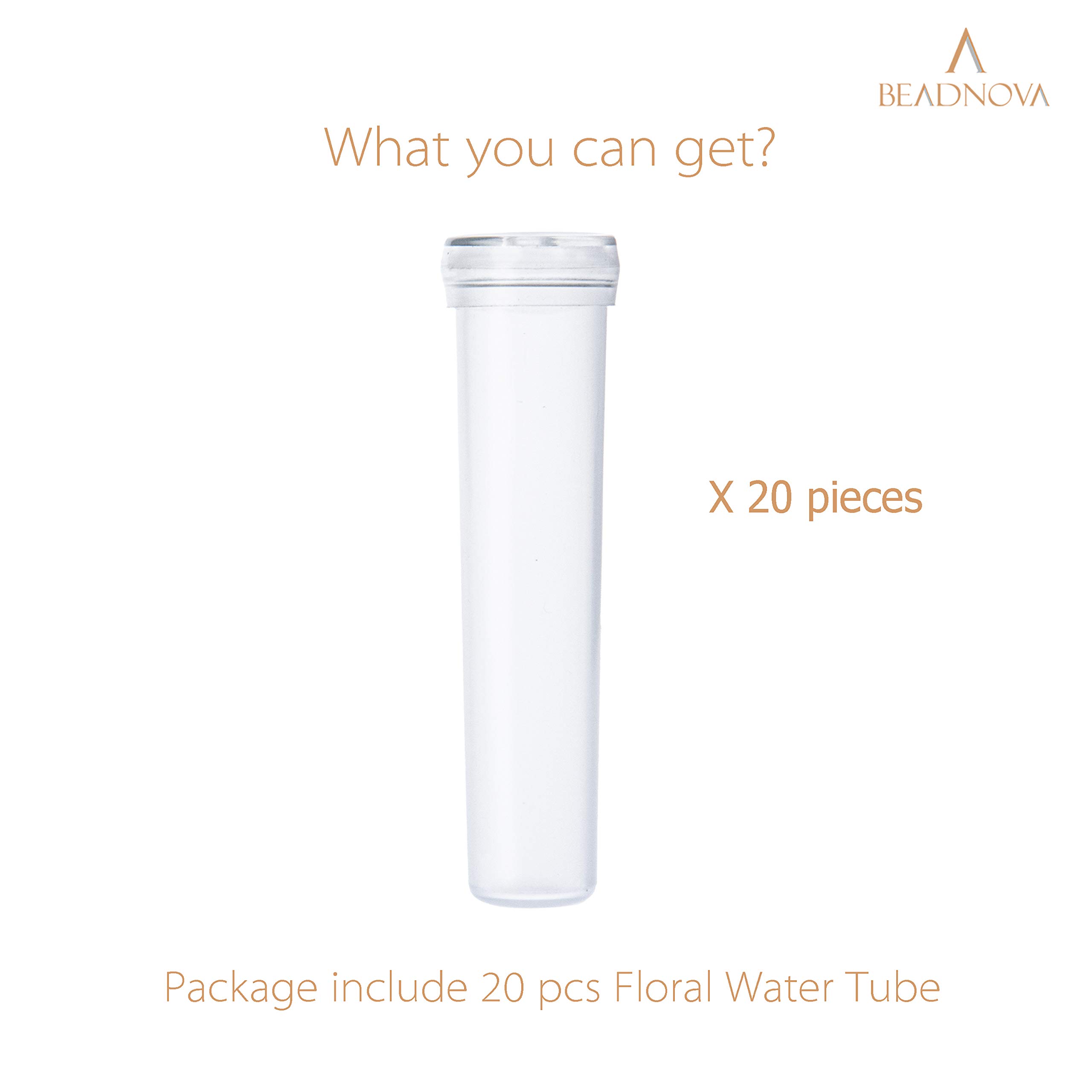 BEADNOVA Floral Water Tubes 2.8 Inch Plastic Water Tubes for Floral Flower Vials with Caps for Flower Arrangement Decoration (Clear, 20 Pcs)