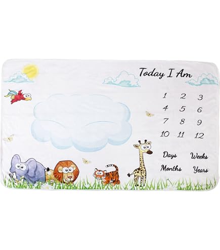Airplane & Train Baby Milestone Blanket With Month Markers - 48x40 Inch, 1-12 Months, Photo Prop & Newborn Gift - View #6