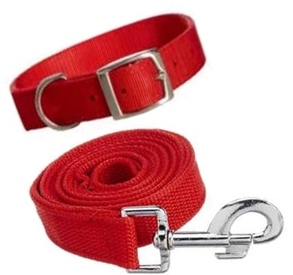 breyer dog agility playset