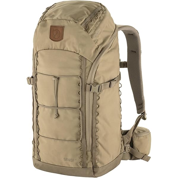 Amazon.com: Fjallraven Unisex Singi Hip Pack 10 Sports backpack