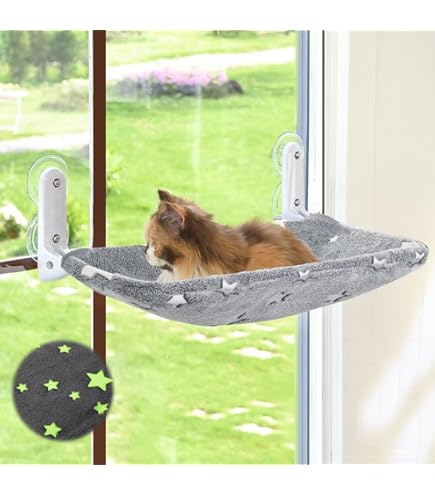 Amazon Cat Suction Cup Window Perch Small Cat Tree PETPAWJOY Cat