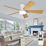 Depuley Modern Ceiling Fan with Light: 42-Inch