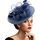 DRESHOW Fascinators Hat Flower Mesh Feathers Hat with a Headband and a Clip 7.9" Tea Party Headwear for Women