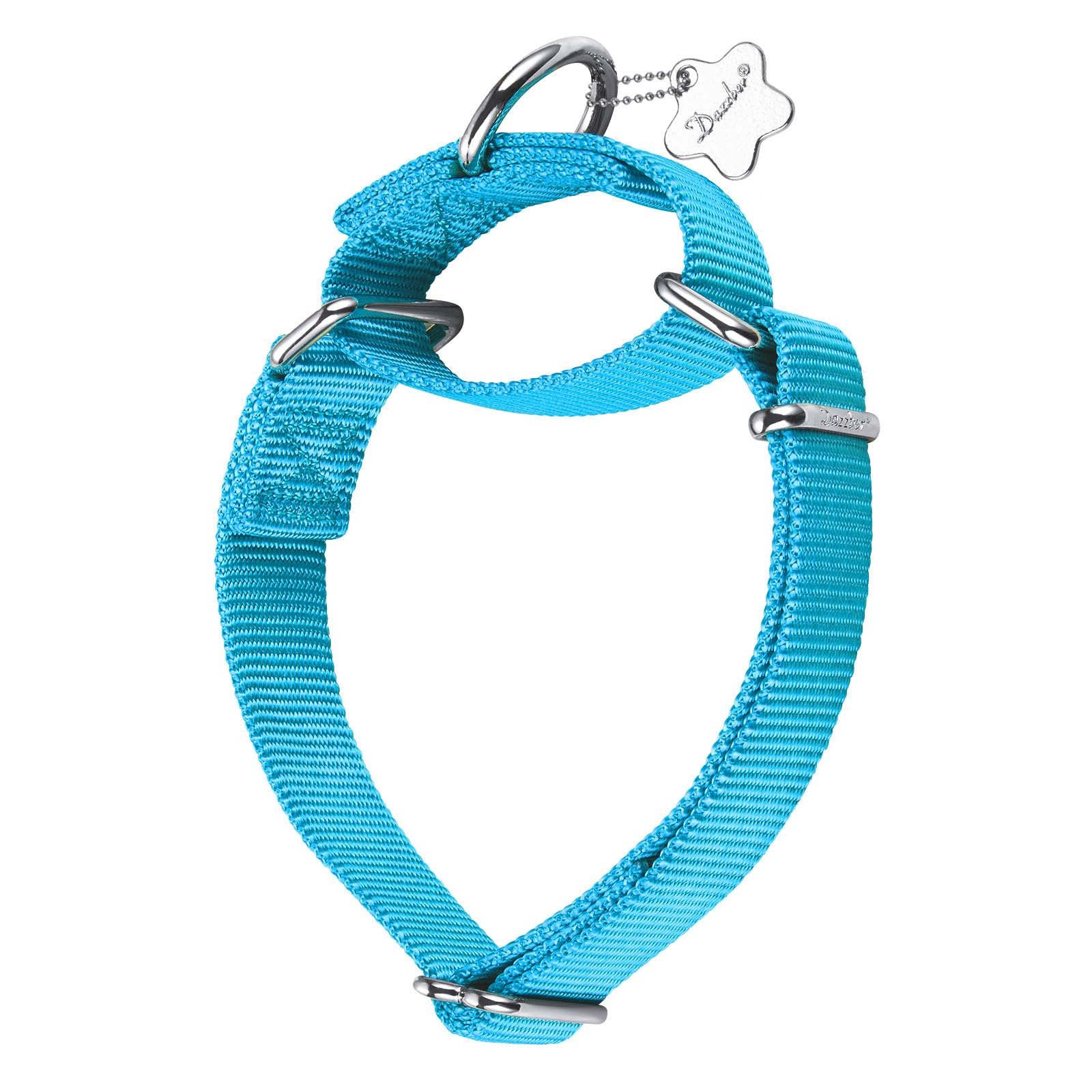 Dazzber Martingale Dog Collars - Heavy Duty Nylon Anti - Escape Pet Collar for Medium and Large Dogs - Walking Training Daily Use. (Medium, Turquoise)