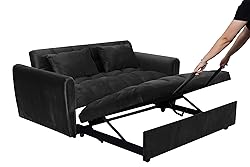 65-Inch Loveseat with Pull Out Sleeper Couch