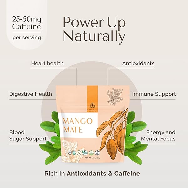 PALERMO ORGANIC YERBA MATE TEA BAGS 20 COUNT – MANGO MATE INFUSED WITH CINNAMON, ORANGE PEEL & LICORICE ROOT – ANTIOXIDANT-RICH TROPICAL MANGO FLAVOR, SWEET SPICE BLEND, UNSMOKED, VEGAN, GLUTEN-FREE