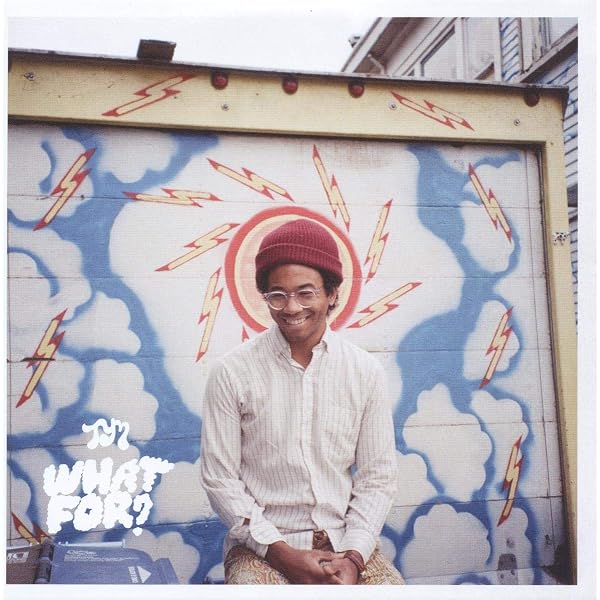 Toro y Moi - Anything In Return (10th Anniversary Picture Disc