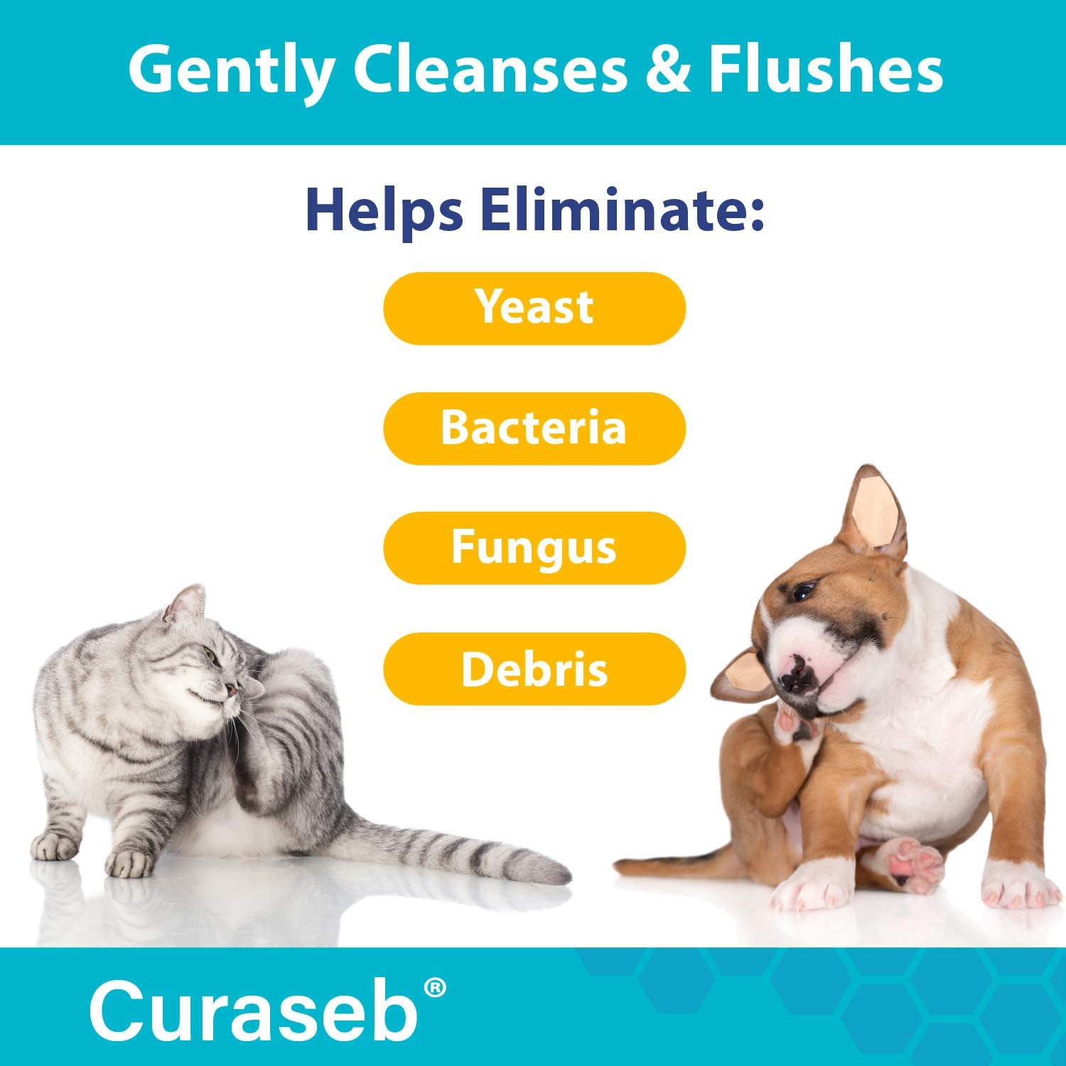 curaseb antiseptic ear flush
